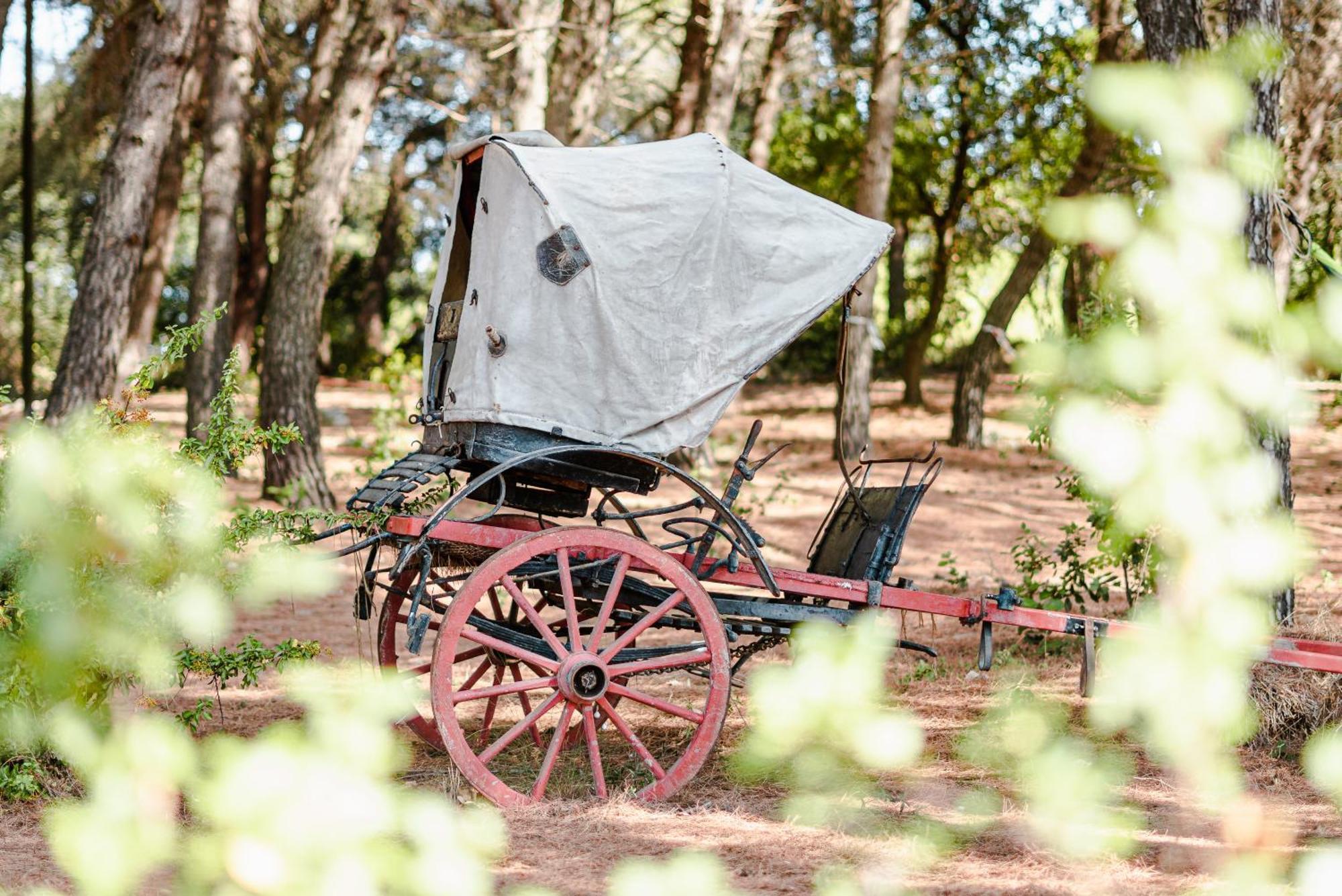 Ad Un Passo Da Cisternino - Trulli Con Foresta, Bici E Barbecue ชิสแตร์นีโน ภายนอก รูปภาพ