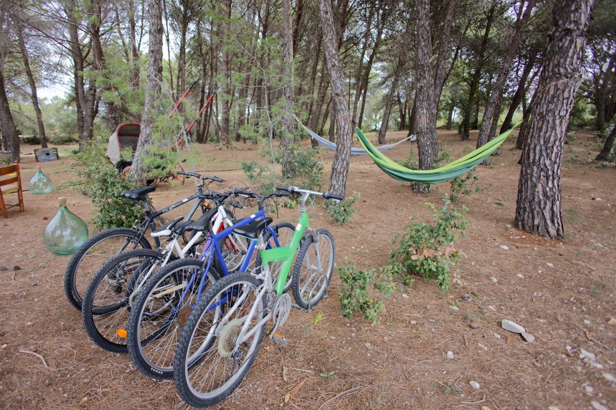 Ad Un Passo Da Cisternino - Trulli Con Foresta, Bici E Barbecue ชิสแตร์นีโน ภายนอก รูปภาพ